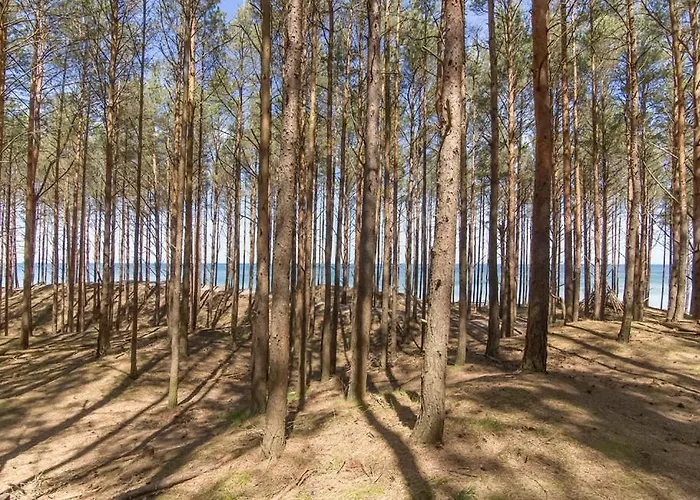 Casa de Férias Posejdon Wydmowa 16/2 *